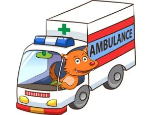 Cartoon ambulance puzzel